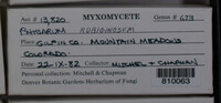 Image Associated With the Occurence